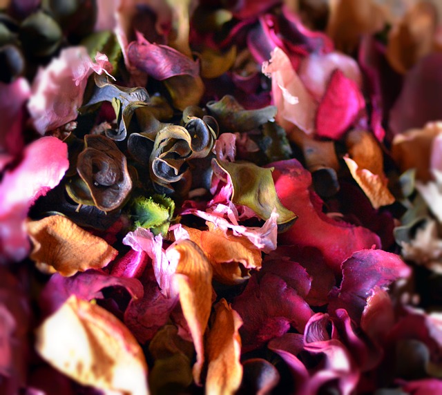 Pot pourri